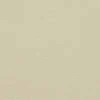 BEIGE 2025