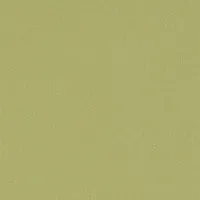 LIGHT GREEN 4125