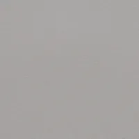 LIGHT GREY 9000