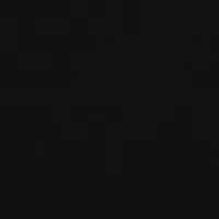 4200 BLACK 069