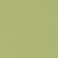 4206 GREEN 205