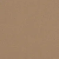 4209 TAN 204