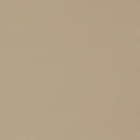4211 WET SAND 053