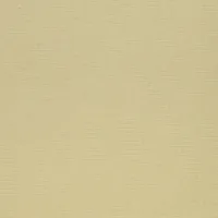 WOOL BEIGE 2173
