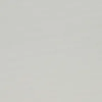 FEATHER GREY 9202