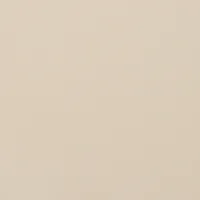 BEIGE 2103