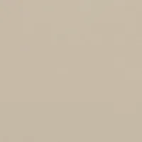 BEIGE 2103
