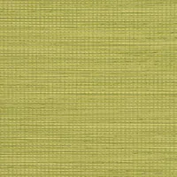 SPRING GREEN 4139