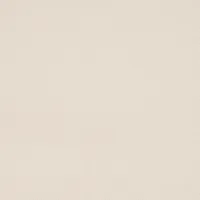POWDER 2395