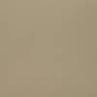 BROWN 0555