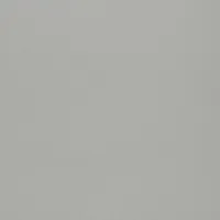 LIGHT GREY 0558