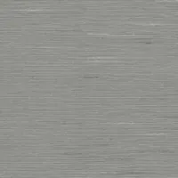 DUST 0300