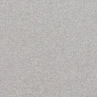 SILVER DUST 10224