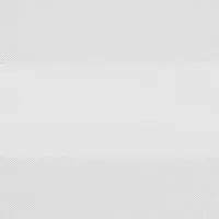 WHITE 0100