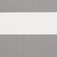 SILVER 0400
