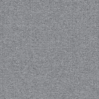 FROST 0300