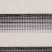 SILVER 1610-002