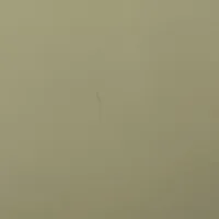 Magnolia Gloss