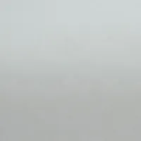 White Gloss