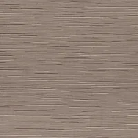 BROWN 205911 K