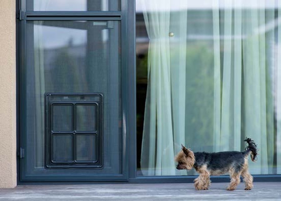 Усиленное полотно PET SCREEN для домов с животными