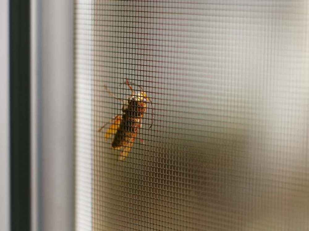 Pleated net on a sliding door
